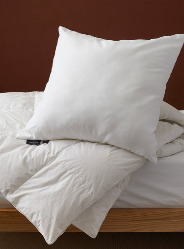 Evolution Euro pillow